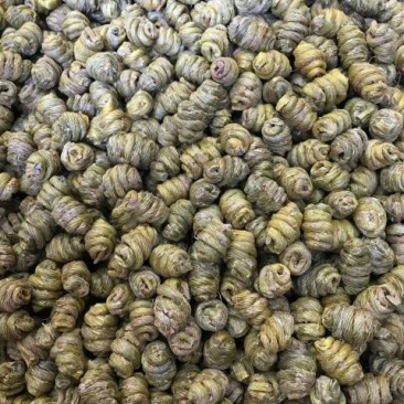 铁皮枫斗道地雁荡山胶多渣少