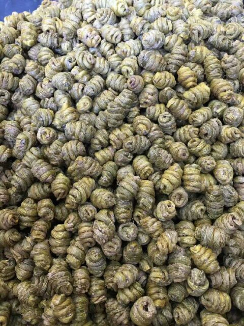 铁皮枫斗道地雁荡山胶多渣少