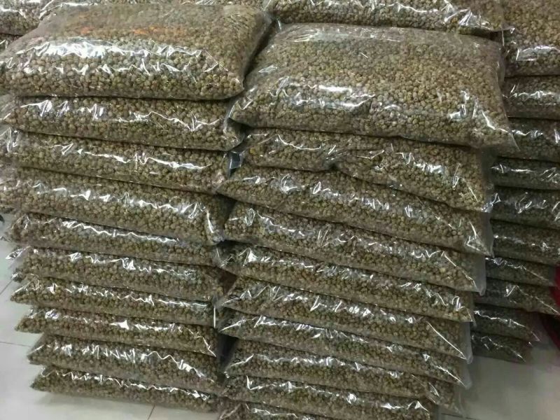 铁皮枫斗道地雁荡山胶多渣少