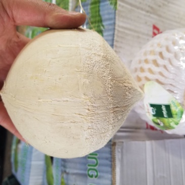 泰国椰皇，品质之选