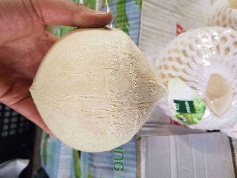 泰国椰皇，品质之选