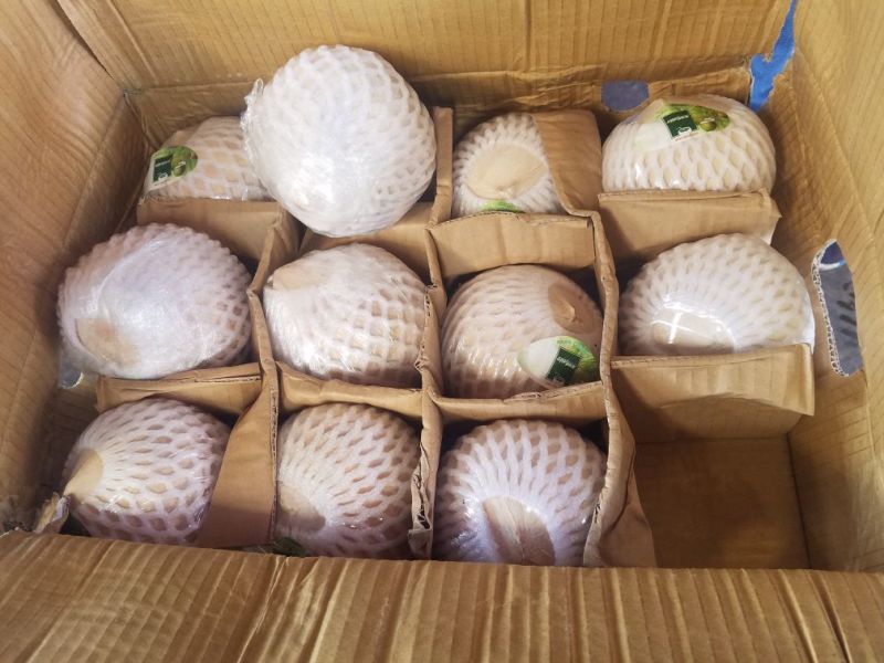 泰国椰皇，品质之选