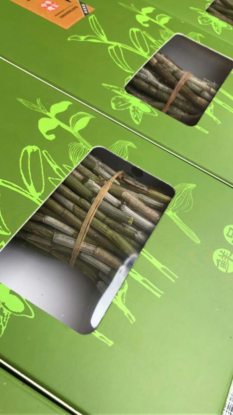 铁皮石斛鲜条雁荡山原产地
