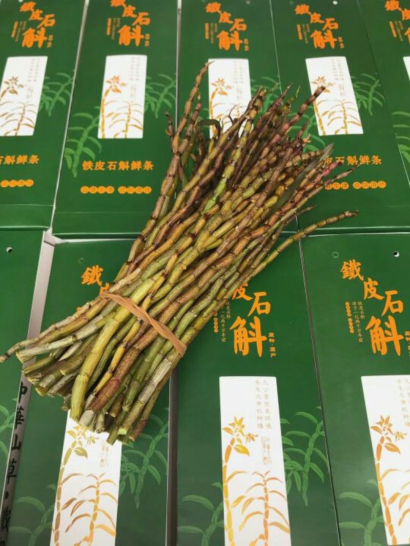 铁皮石斛鲜条雁荡山原产地