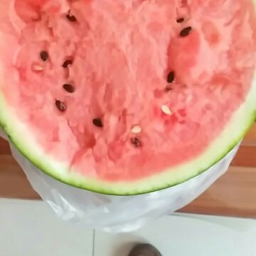 山东莒县大棚西瓜大面积上市。