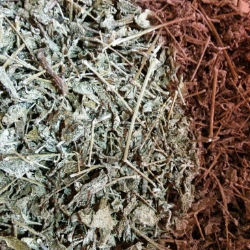 野生藤茶