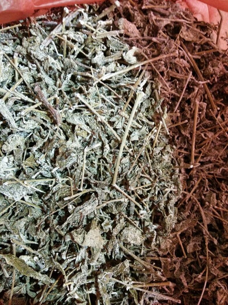 野生藤茶