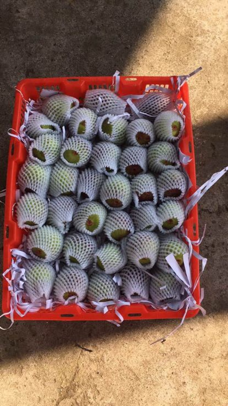 波姬红无花果70~80g