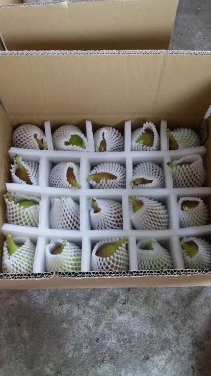 波姬红无花果70~80g