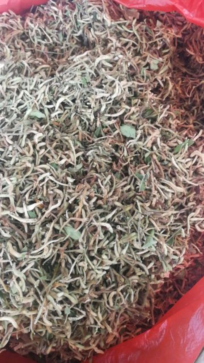 金银花花蕾统货干货