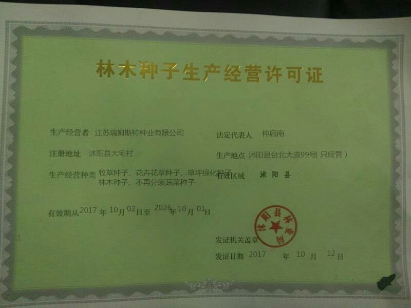 牧草种子98%以上