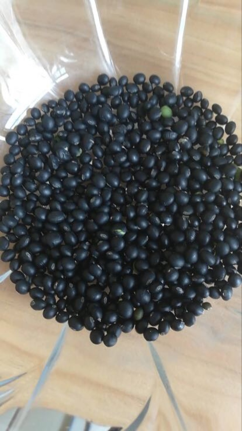 乌皮青仁豆袋装