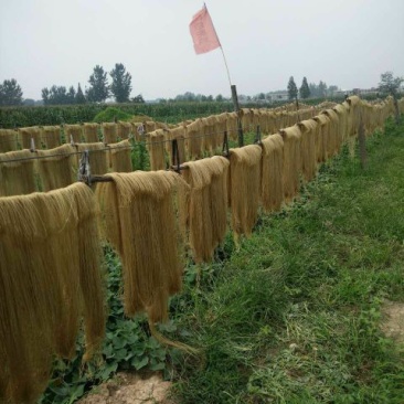 粉丝