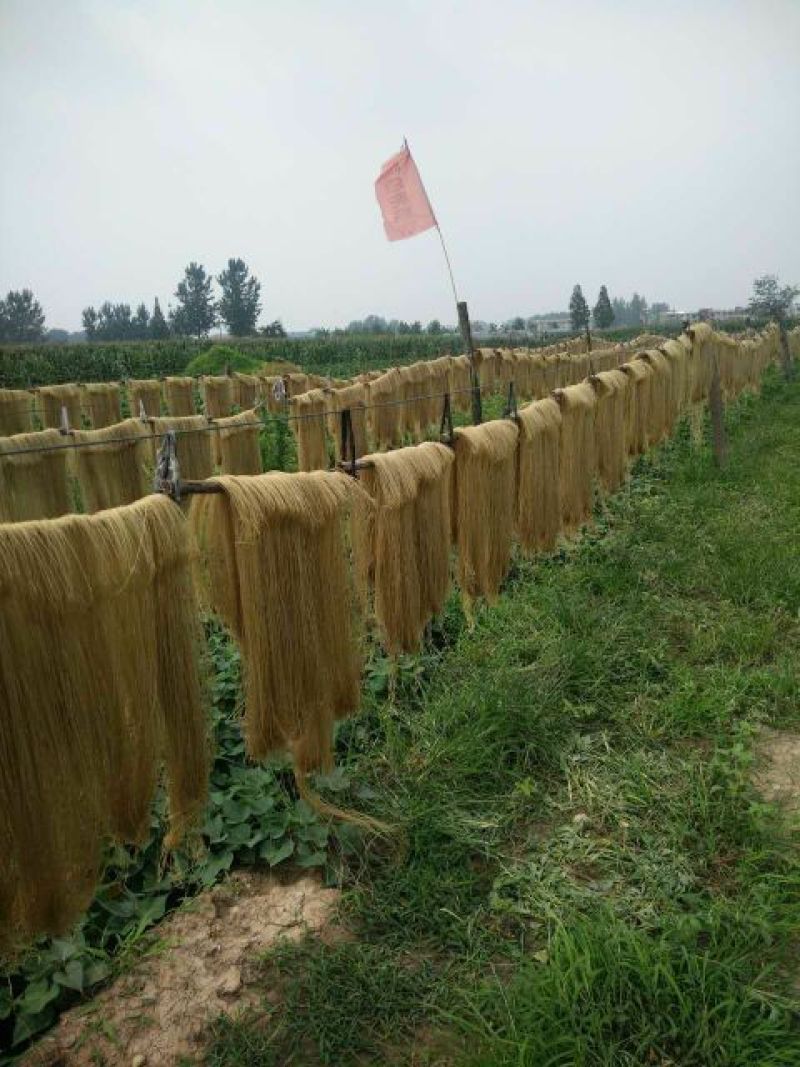 粉丝
