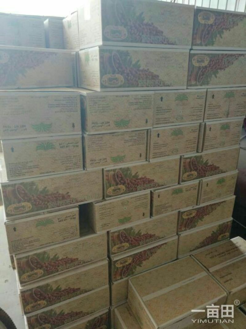 椰枣特级干枣