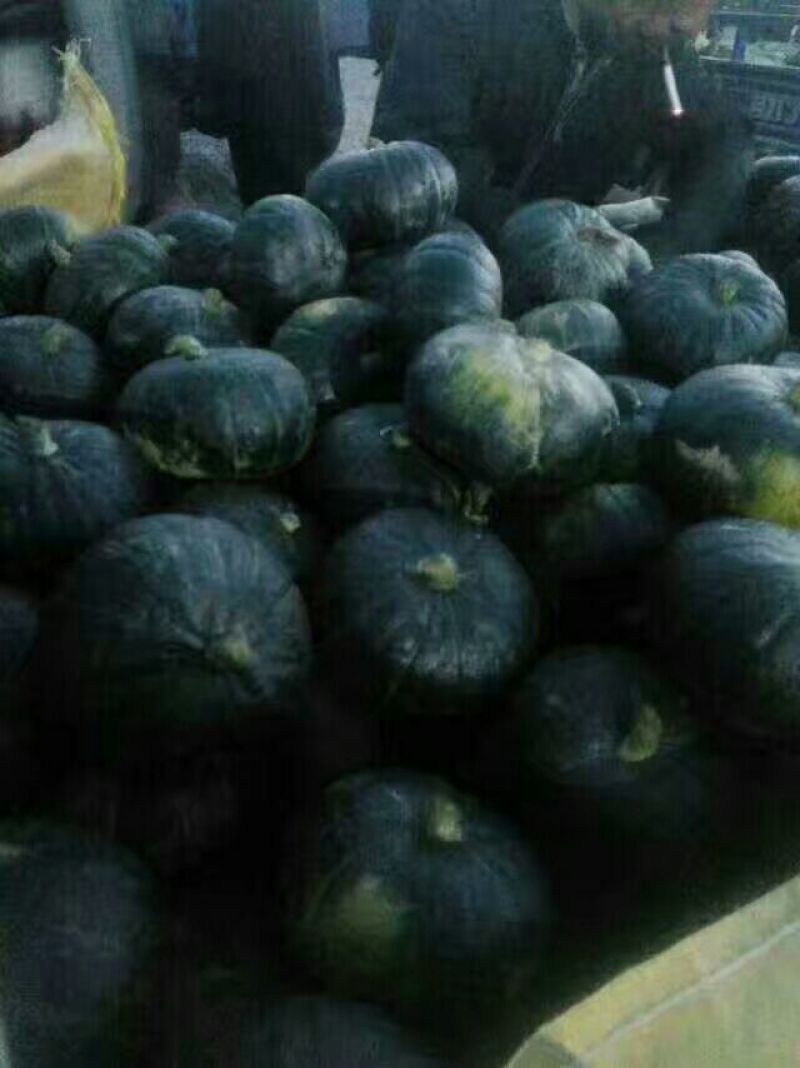 南瓜又名北瓜