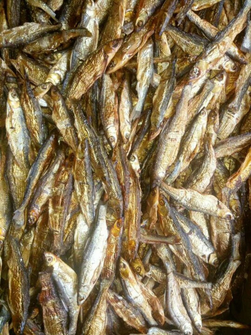 干鱼干虾批发