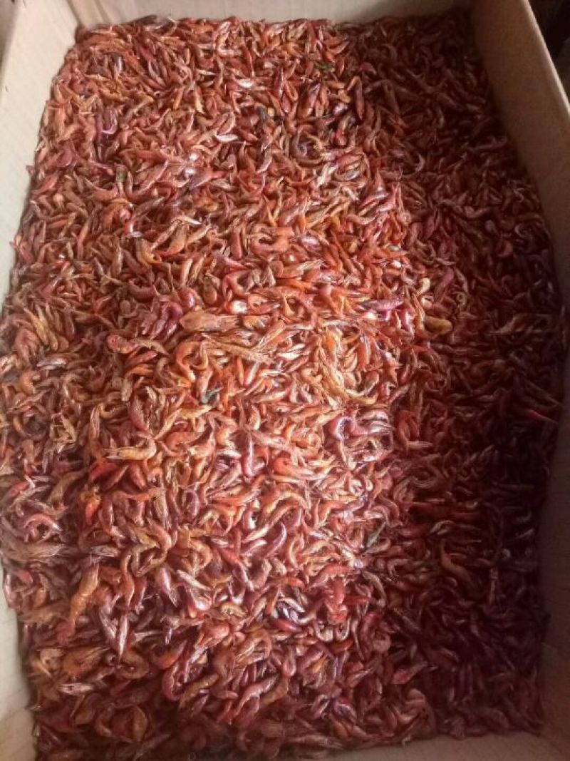 干鱼干虾批发