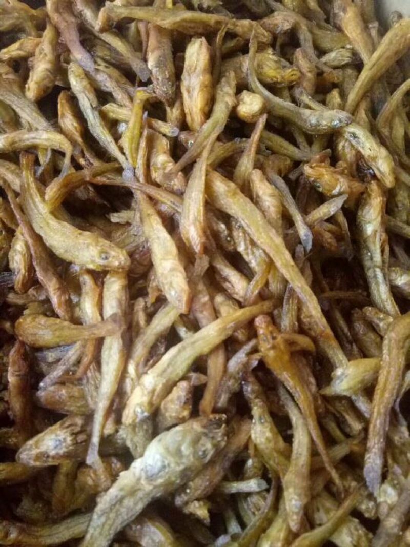 干鱼干虾批发