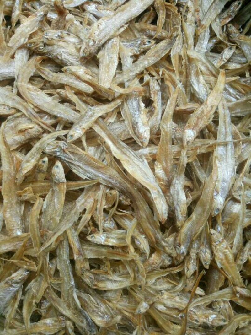 干鱼干虾批发