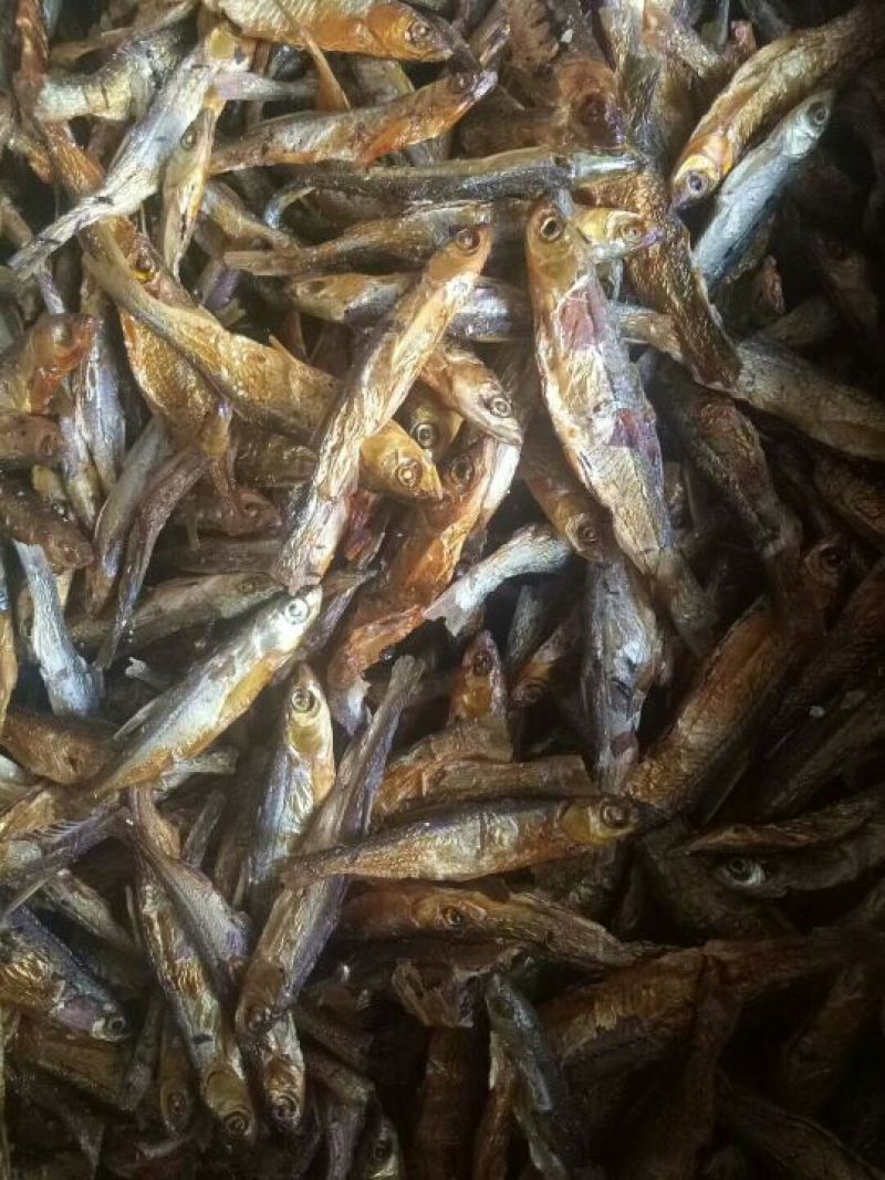 干鱼干虾批发