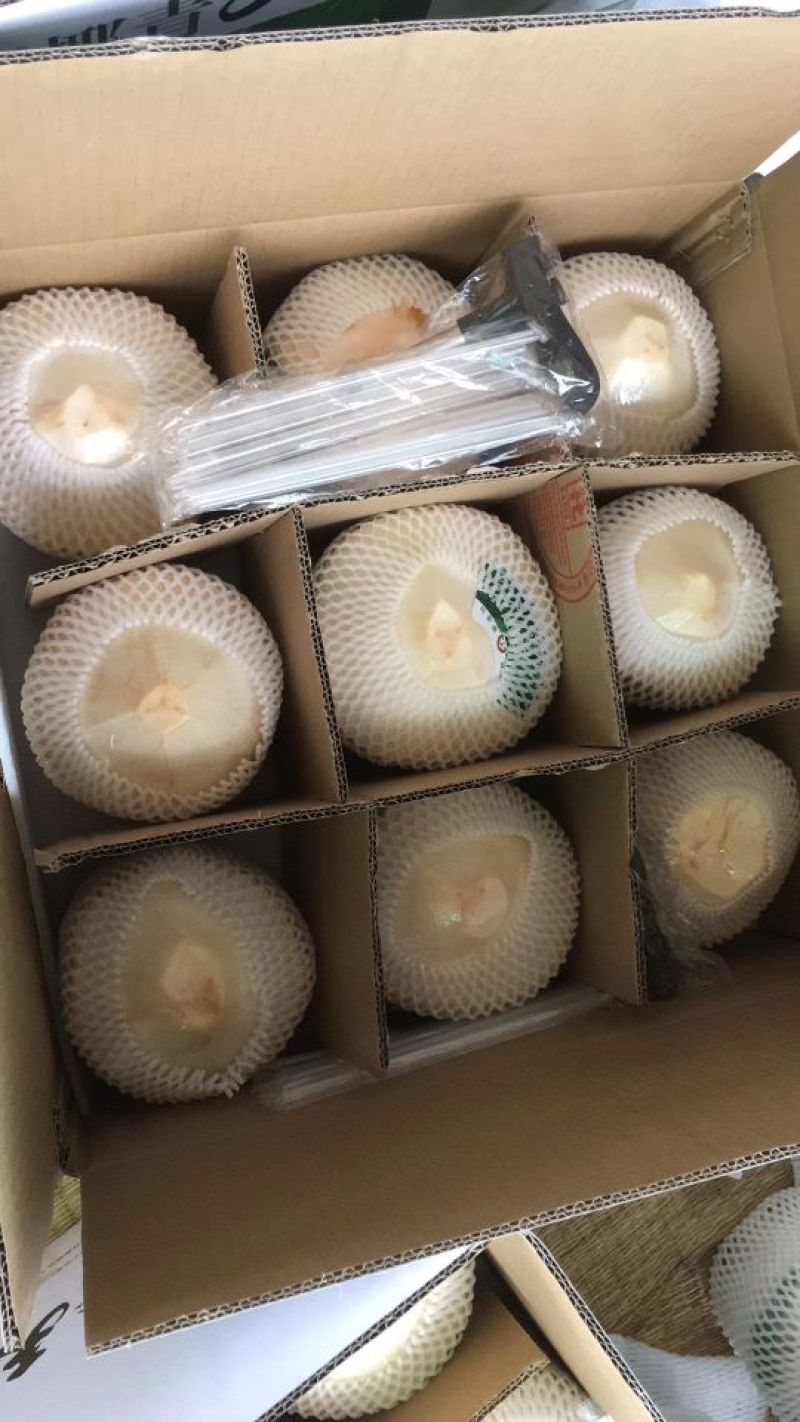 椰青9个装600箱批，包邮