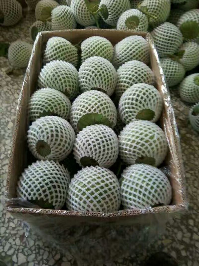 绿宝石甜瓜