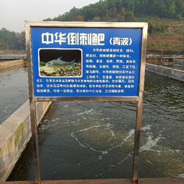 出售垂钓：青波，黄腊丁