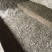 鸡粪