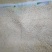 黄粉虫活体一斤或黄粉虫卵一份（半斤左右重）或黄粉虫干半斤