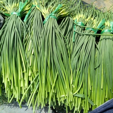 蒜薹