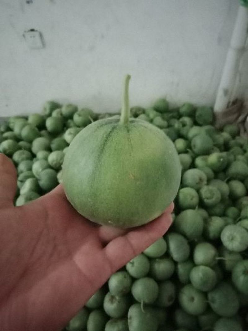 精品绿宝大量上市产地直发价格优惠欢迎来电洽谈价更优