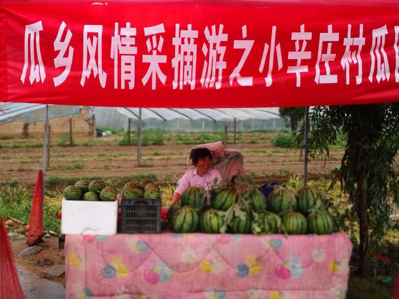 精品小吊瓜《电商供应》河南郑州西瓜，美都每个西瓜2-4斤
