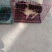 宠物猪