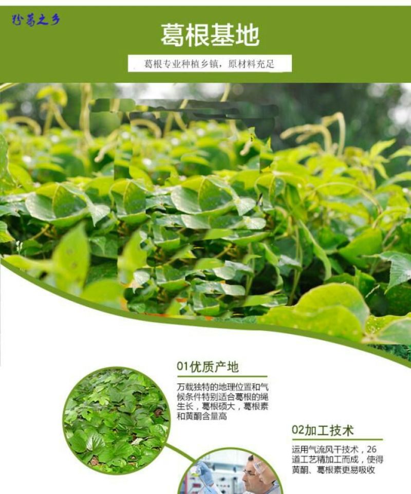 葛根粉葛根粉纯葛根粉50斤起售免费取样非野生