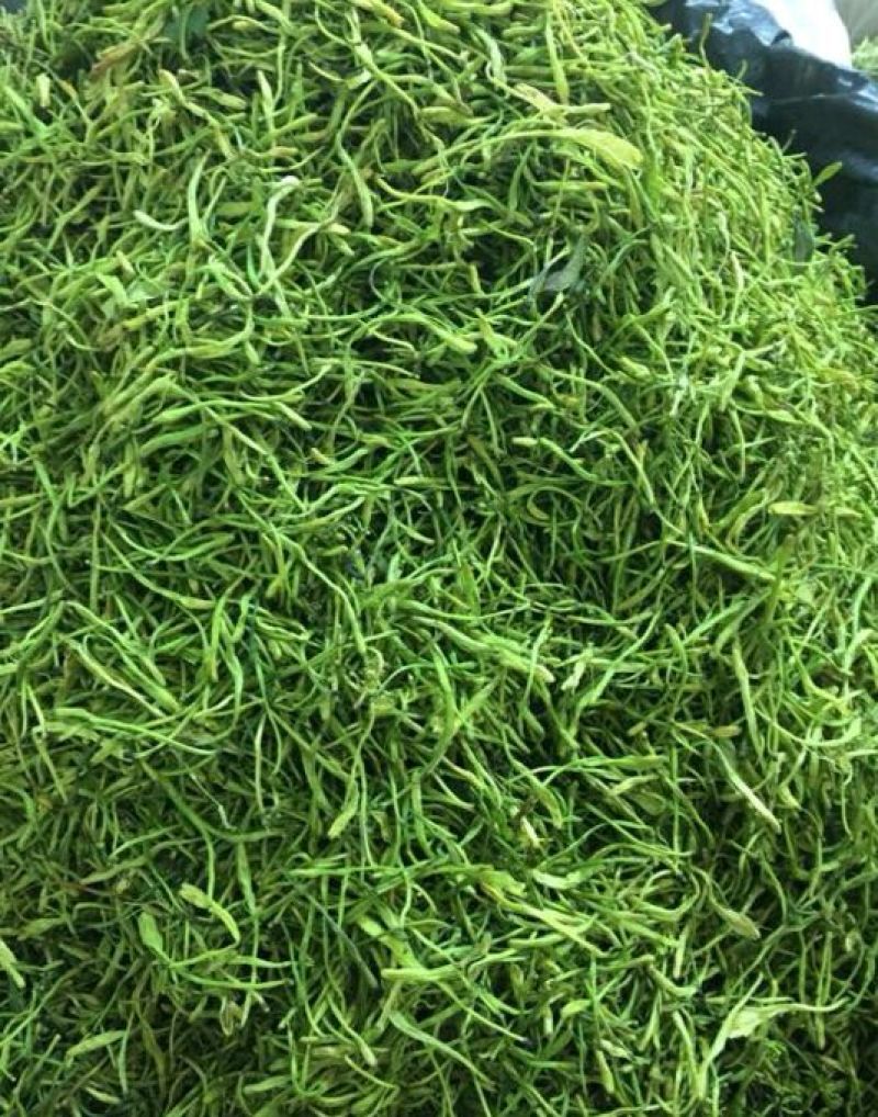 金银花青色