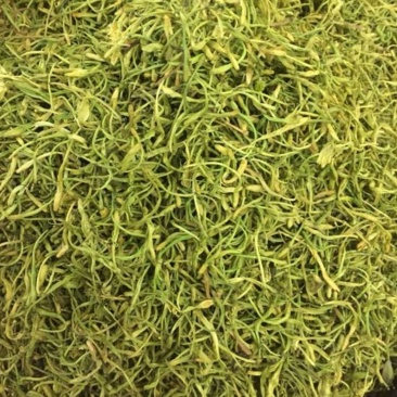 金银花青色