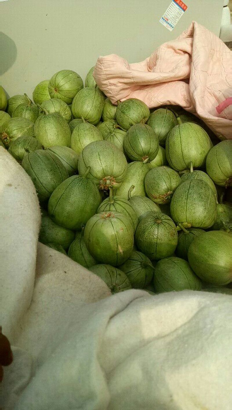 【推荐】香甜可口沙土地芝麻脆大量有货欢迎合作