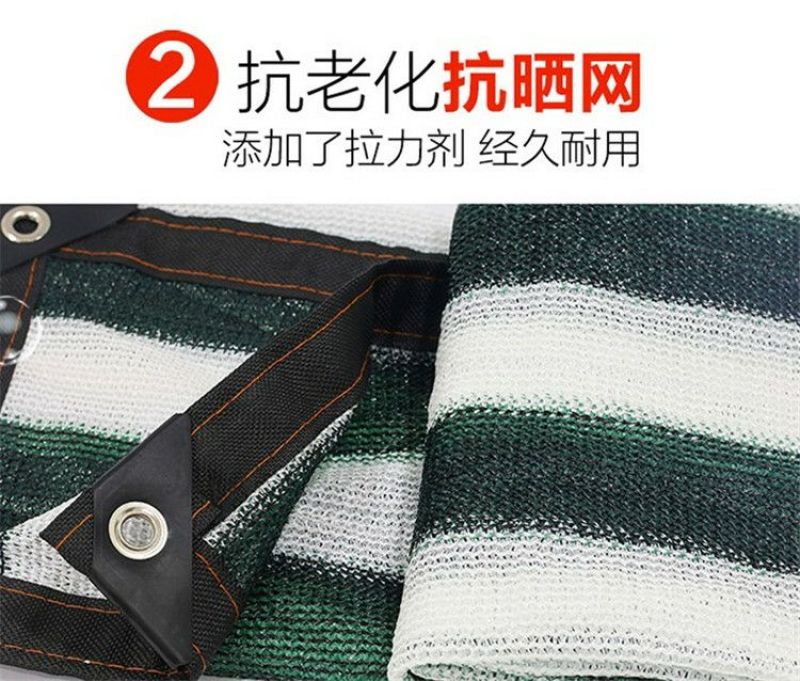 遮阳网布防晒网遮阴网遮荫网包边加密蓝绿