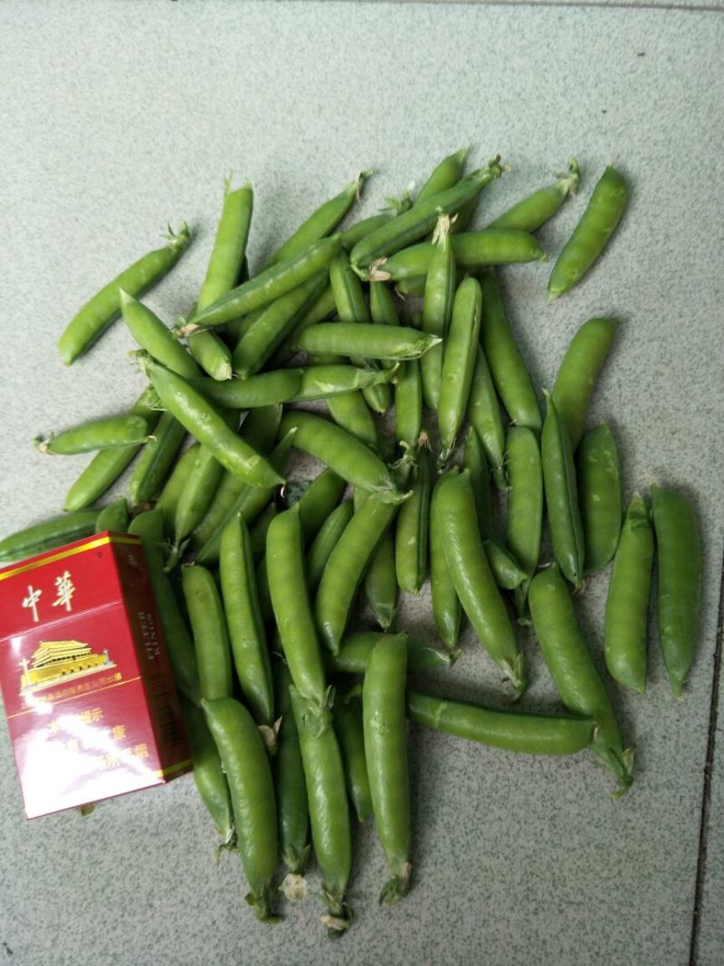 甜脆豌豆，饱满
