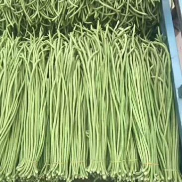 豇豆