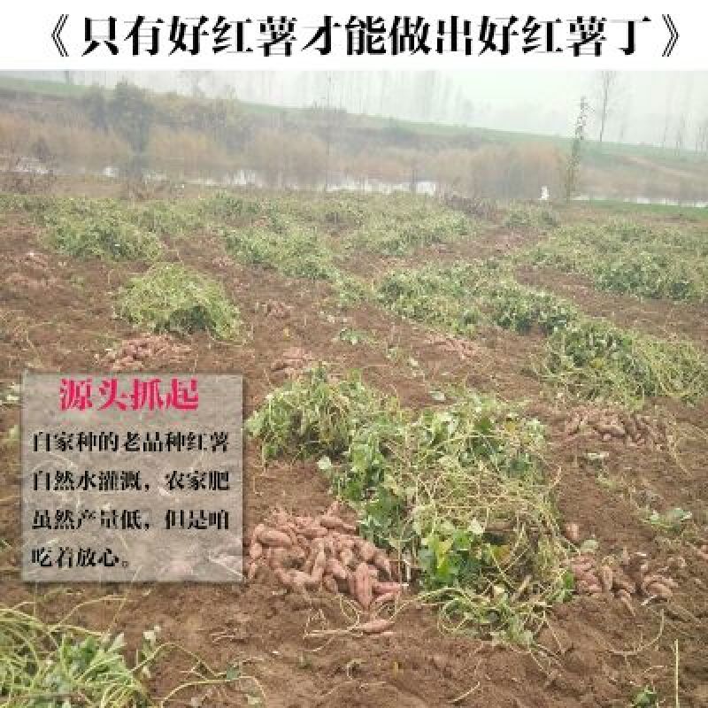 红薯干红薯丁粒地瓜干煮粥地瓜干自然风干
