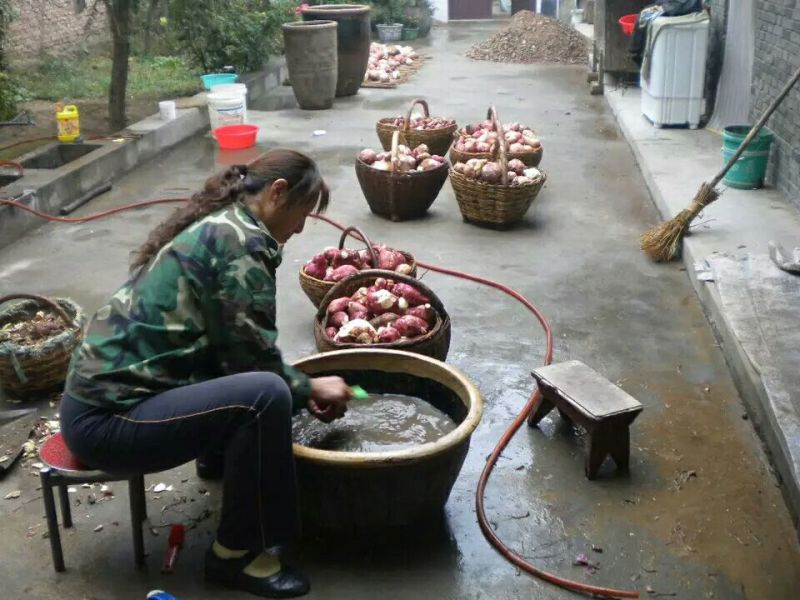 红薯干红薯丁粒地瓜干煮粥地瓜干自然风干