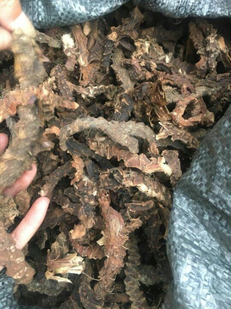 石菖蒲