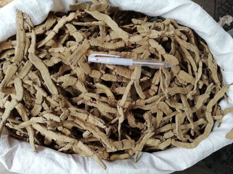巴戟天扁条