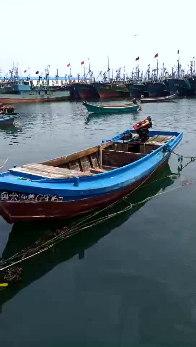 基地直供鲍鱼