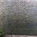湘云鲫