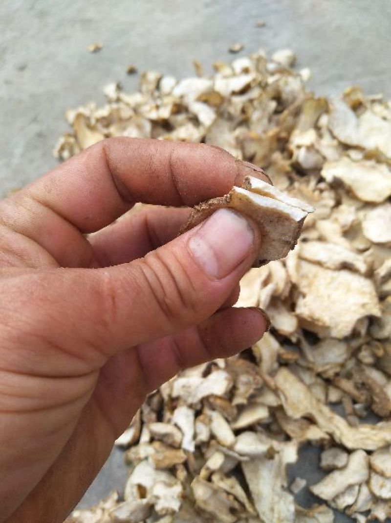 黄精中货干片净干99%货源充足