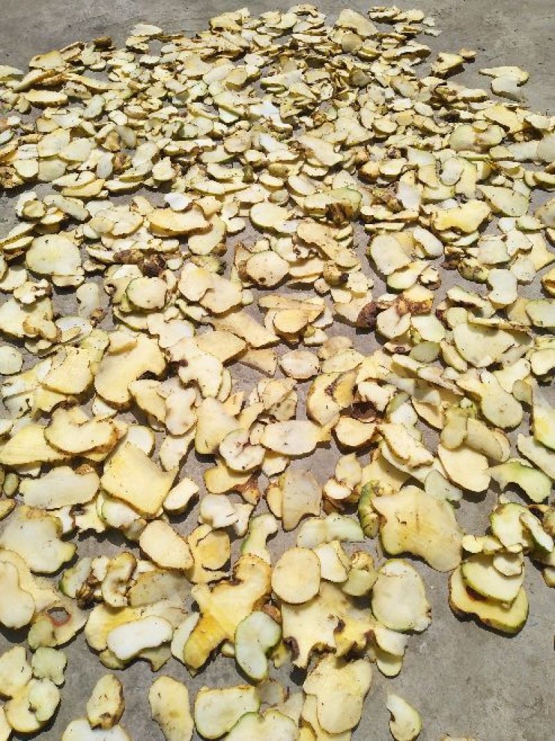 黄精中货干片净干99%货源充足