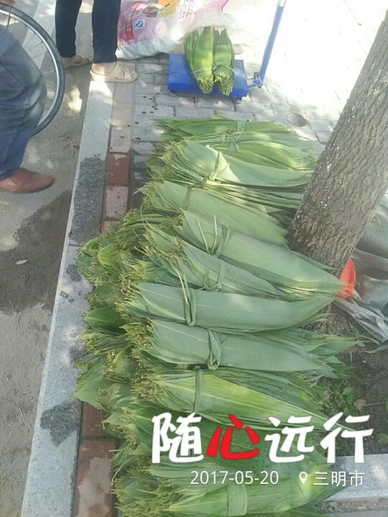 粽子叶